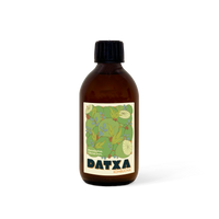 Kombucha Eucalyptus citron vert Bio - 30cl - Lot de 12 bouteilles