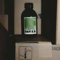 Kombucha Eucalyptus citron vert Bio - 30cl - Lot de 12 bouteilles