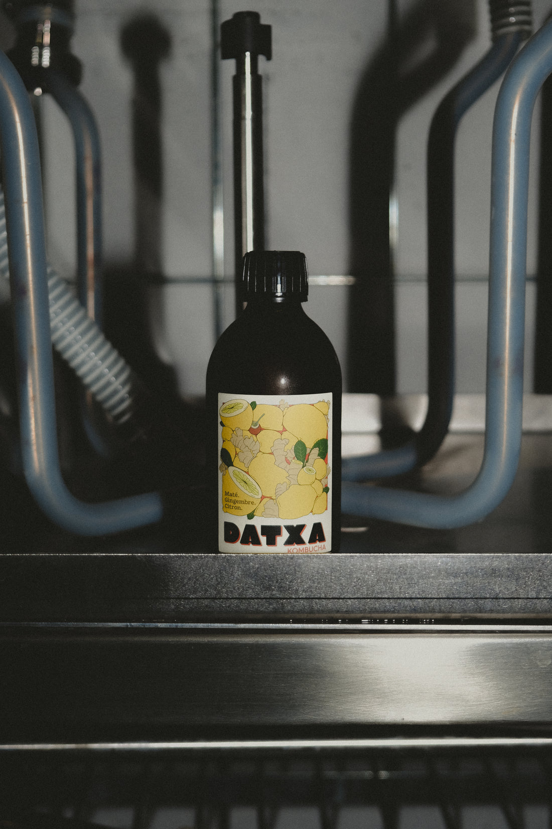 Kombucha Maté gingembre citron Bio - 30 cl - Lot de 12 bouteilles