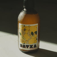 Kombucha Maté gingembre citron Bio - 30 cl - Lot de 12 bouteilles