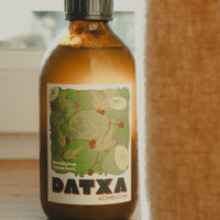 Kombucha Eucalyptus citron vert Bio - 30cl - Lot de 12 bouteilles