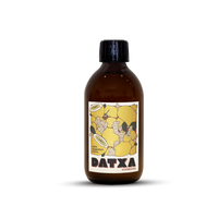 Kombucha Maté gingembre citron Bio - 30 cl - Lot de 12 bouteilles