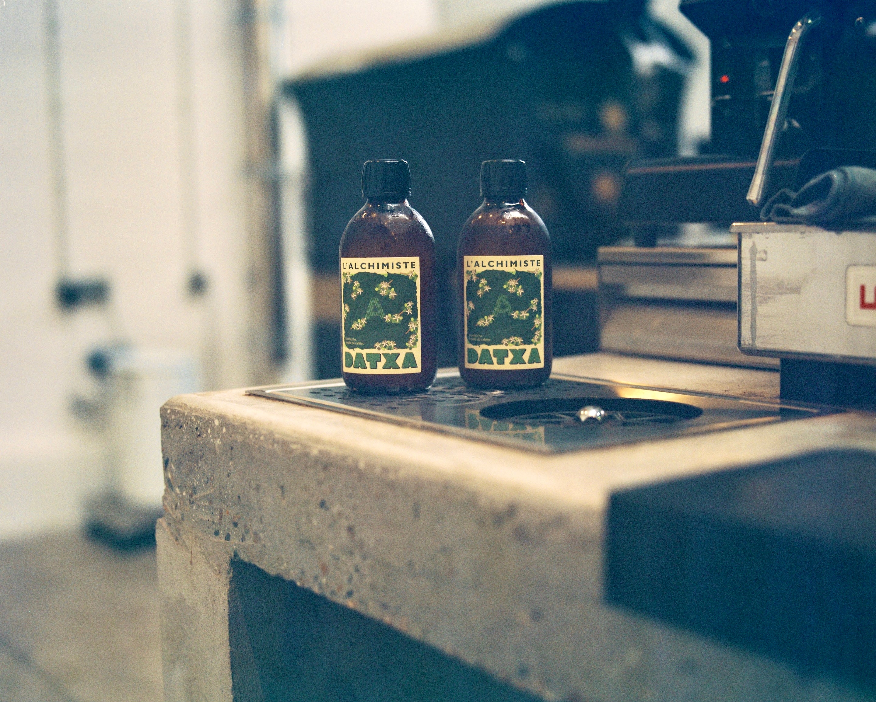 Datxa x Alchimiste kombucha feuille de caféier bio - Edition limitée - 30cl - Lot de 12 bouteilles