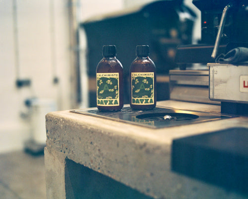 Datxa x Alchimiste kombucha feuille de caféier bio - Edition limitée - 30cl - Lot de 12 bouteilles