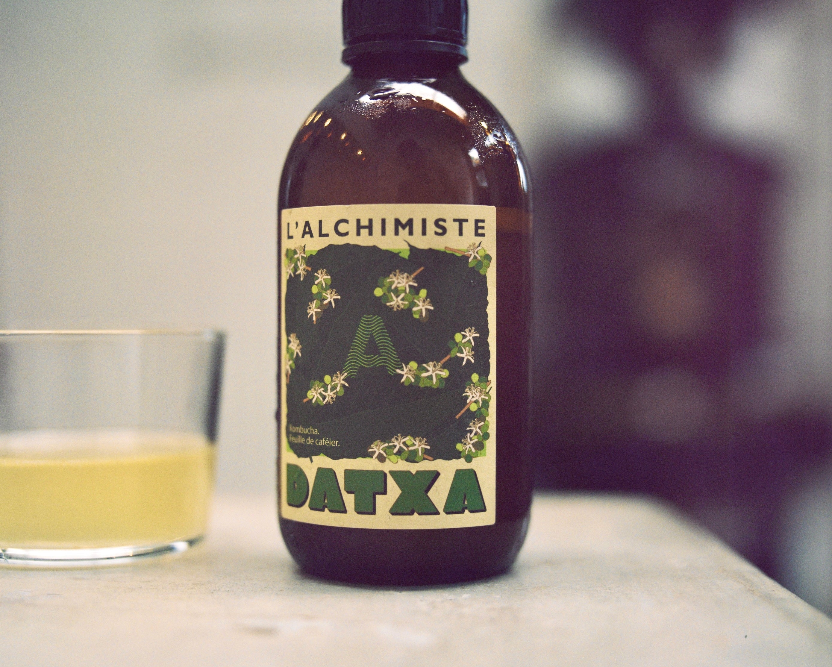 Datxa x Alchimiste kombucha feuille de caféier bio - Edition limitée - 30cl - Lot de 12 bouteilles