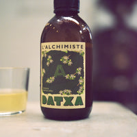 Datxa x Alchimiste kombucha feuille de caféier bio - 30cl - Lot de 12 bouteilles
