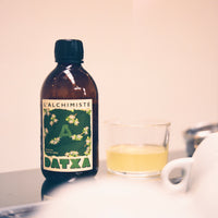 Datxa x Alchimiste kombucha feuille de caféier bio - 30cl - Lot de 12 bouteilles