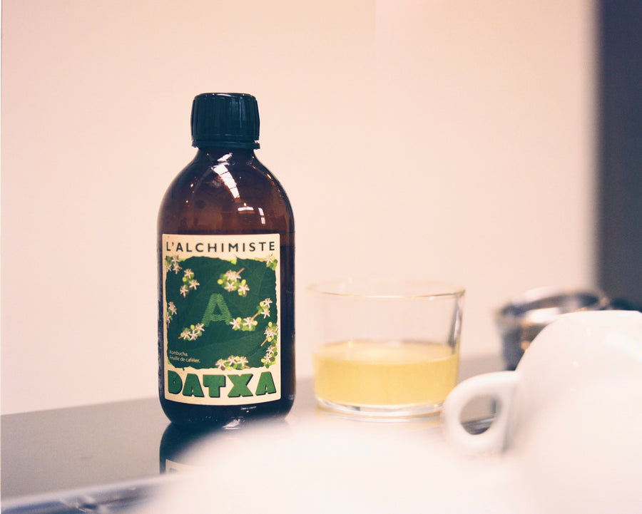 Datxa x Alchimiste kombucha feuille de caféier bio - 30cl - Lot de 12 bouteilles