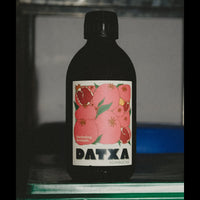 Kombucha Darjeeling Grenade Bio - 30cl - Lot de 12 bouteilles