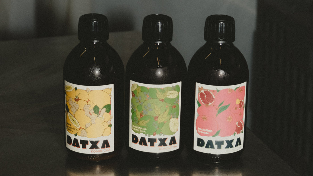 Datxa découverte - 30cl - Lot de 12 bouteilles