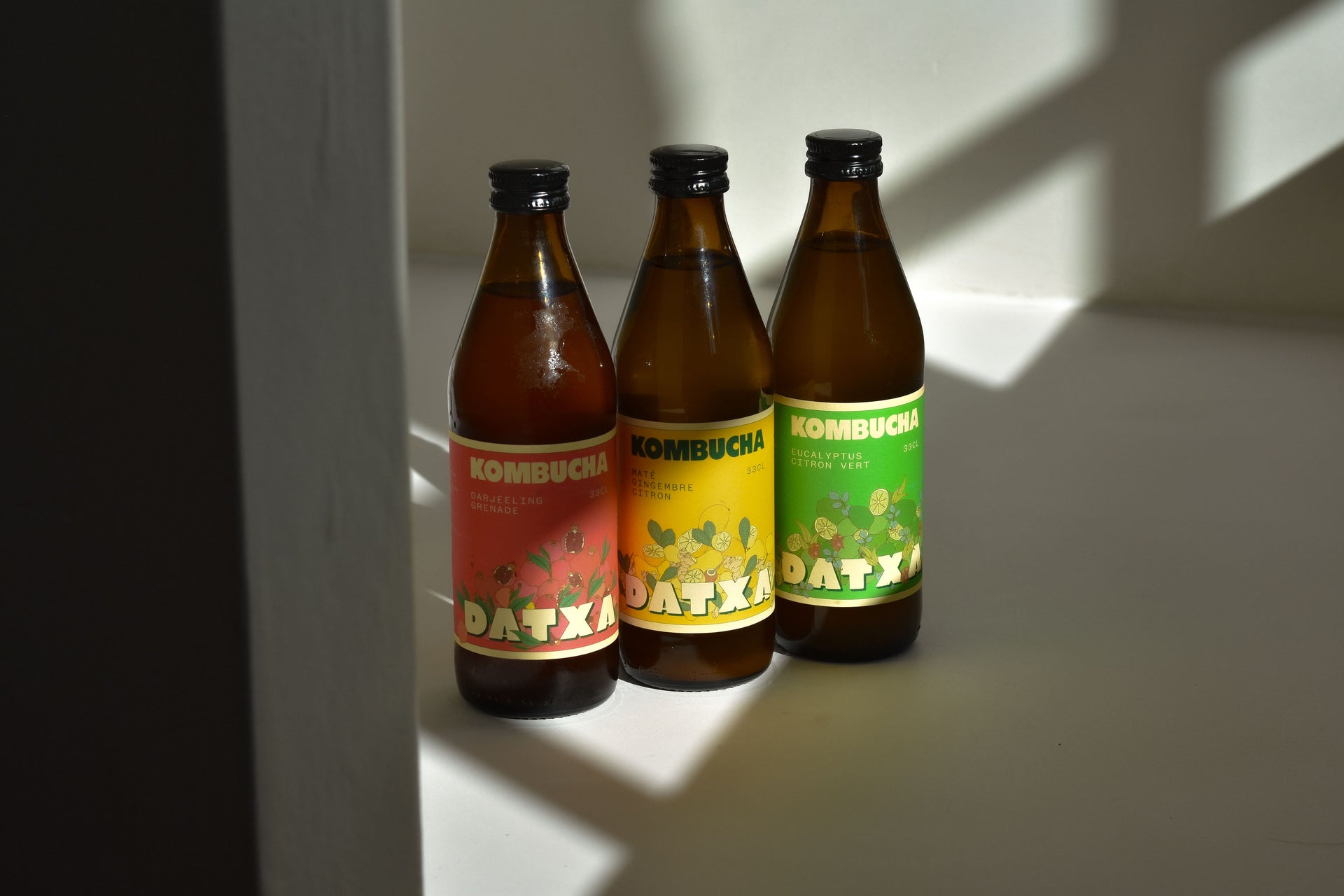 Datxa Découverte - Pack 12 bouteilles (maté gingembre / darjeeling grenade / eucalyptus citron vert)