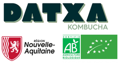 Datxa Kombucha