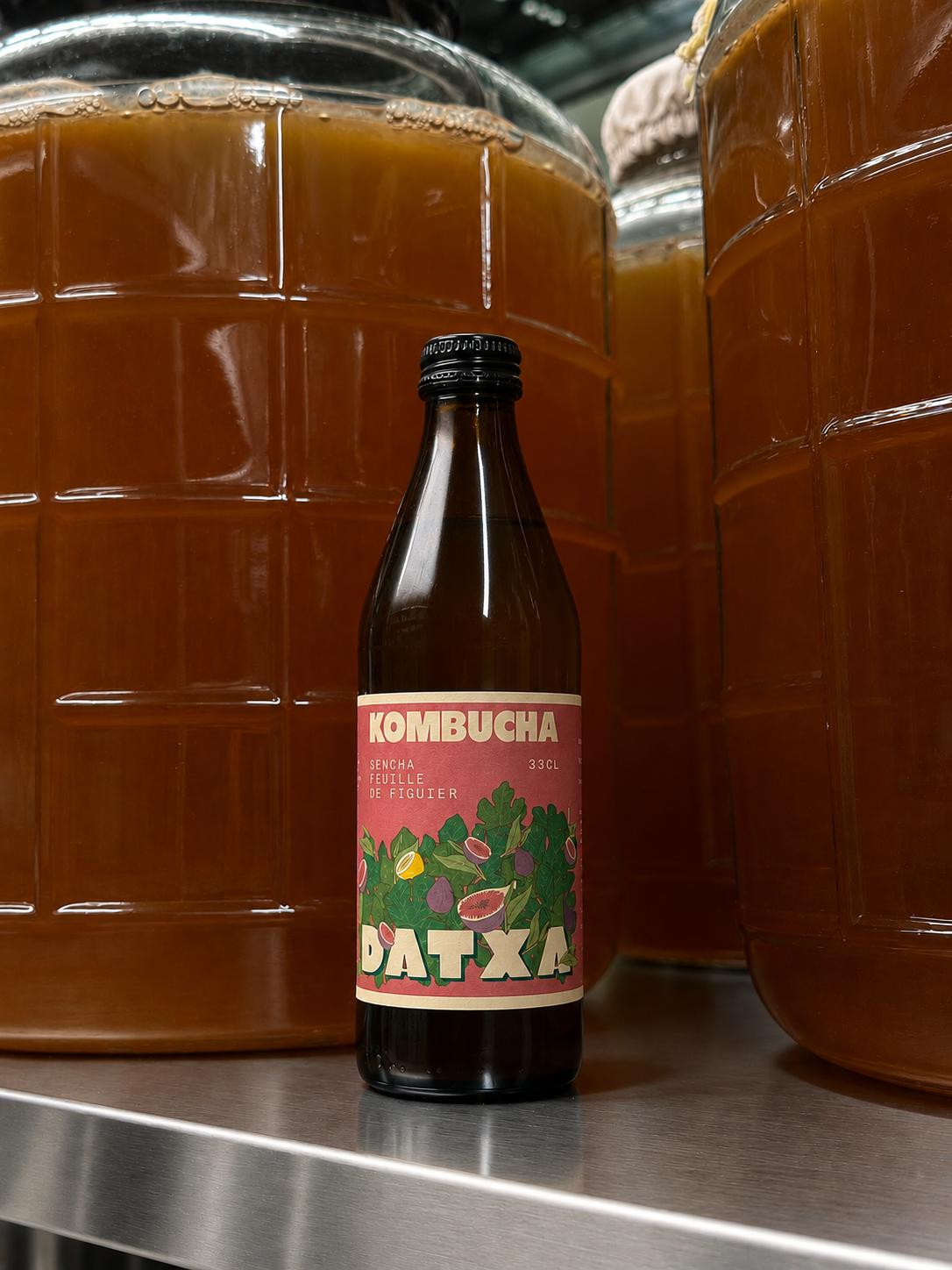 Kombucha Sencha - Feuilles de figuier - 33 cl - Lot de 12 bouteilles
