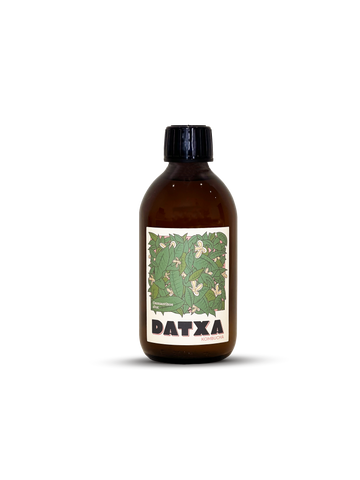 Kombucha Fleur d'Osmanthus - 30 cl - Lot de 12 bouteilles